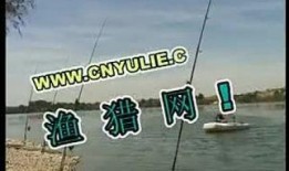 钓鱼爆料视频最新,最新爆料视频带你领略垂钓乐趣与技巧